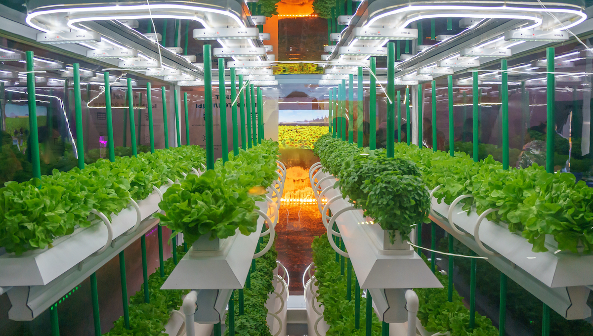 buy hydroponic products online