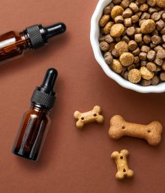 best cbd oil for pets review