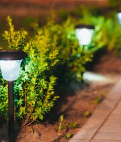 What do you need to learn before you invest in solar lights?