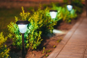 What do you need to learn before you invest in solar lights?